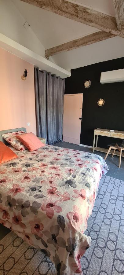Maison De Ville Au Bord Du Lez, 170M2 Cosy. Bollène Extérieur photo